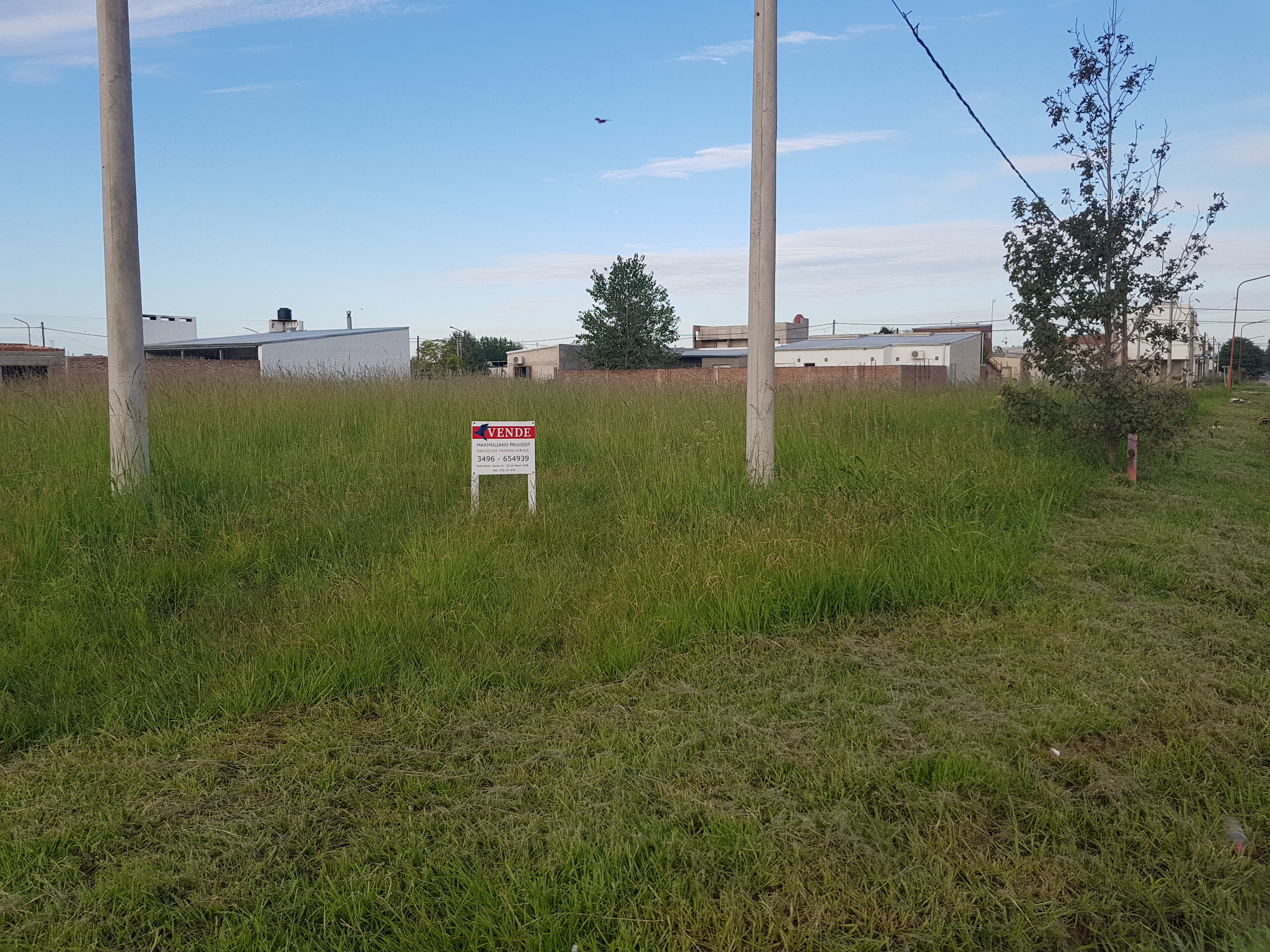 Terreno en Esperanza, Norte · foto 2